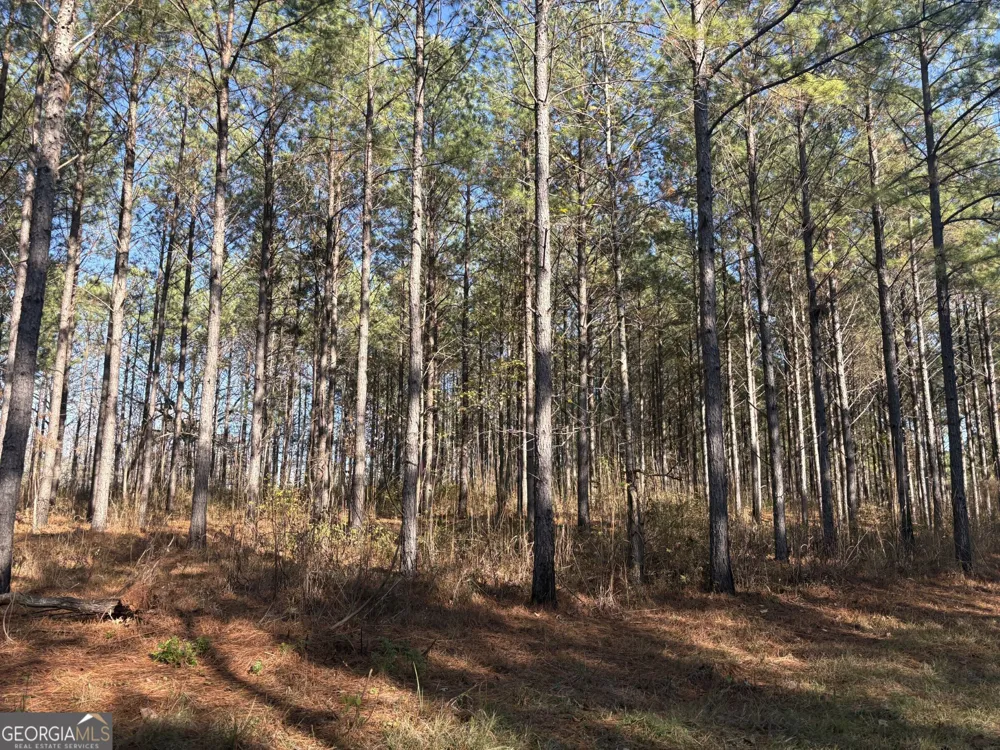 T2 Old Zebulon RD Forsyth, GA 31029