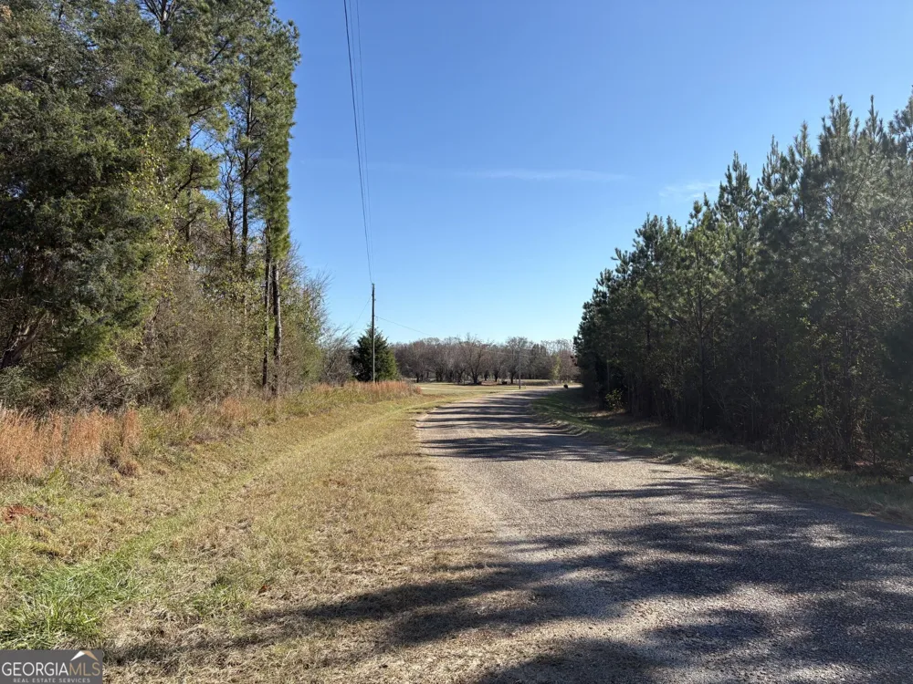 T2 Old Zebulon RD Forsyth, GA 31029