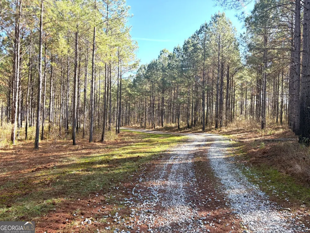 T2 Old Zebulon RD Forsyth, GA 31029