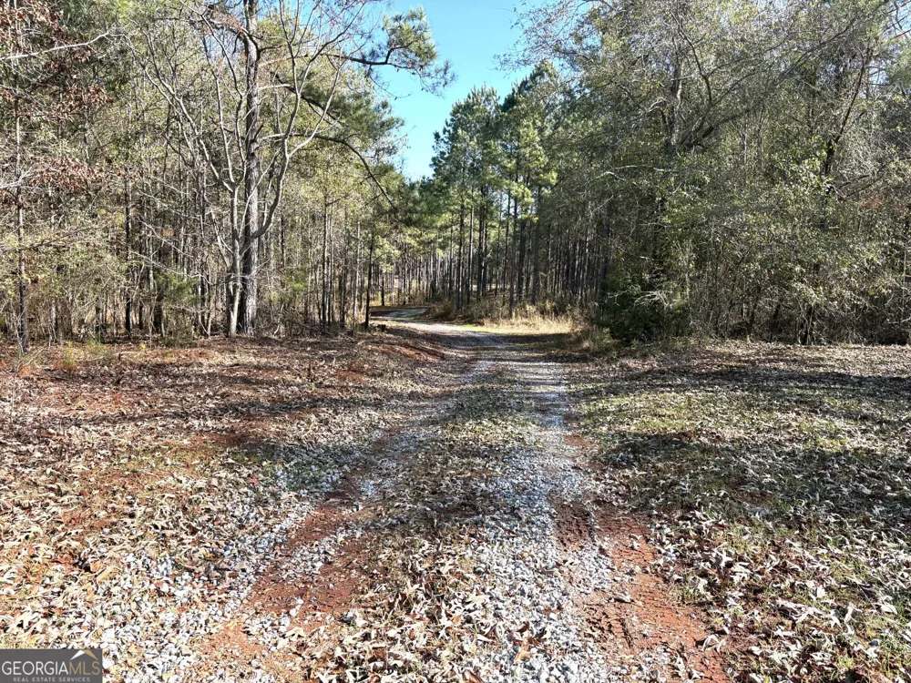 T2 Old Zebulon RD Forsyth, GA 31029