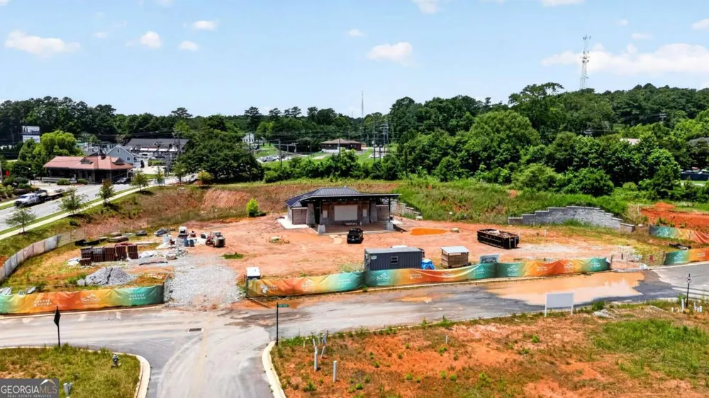 203 Grady Burrell DR Holly Springs, GA 30115