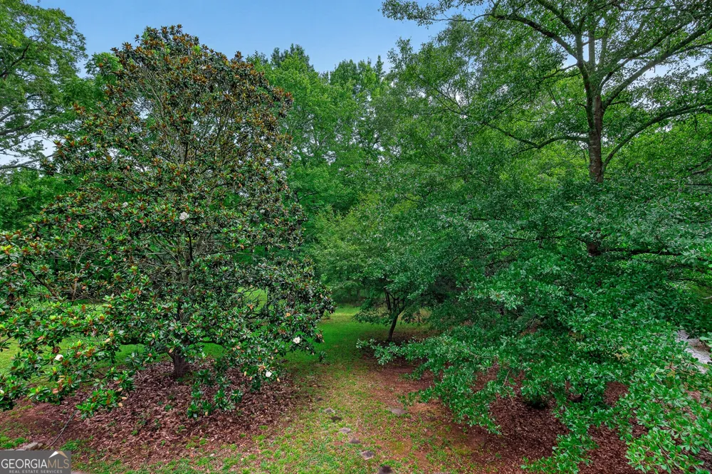 195 Evans WAY Fayetteville, GA 30215