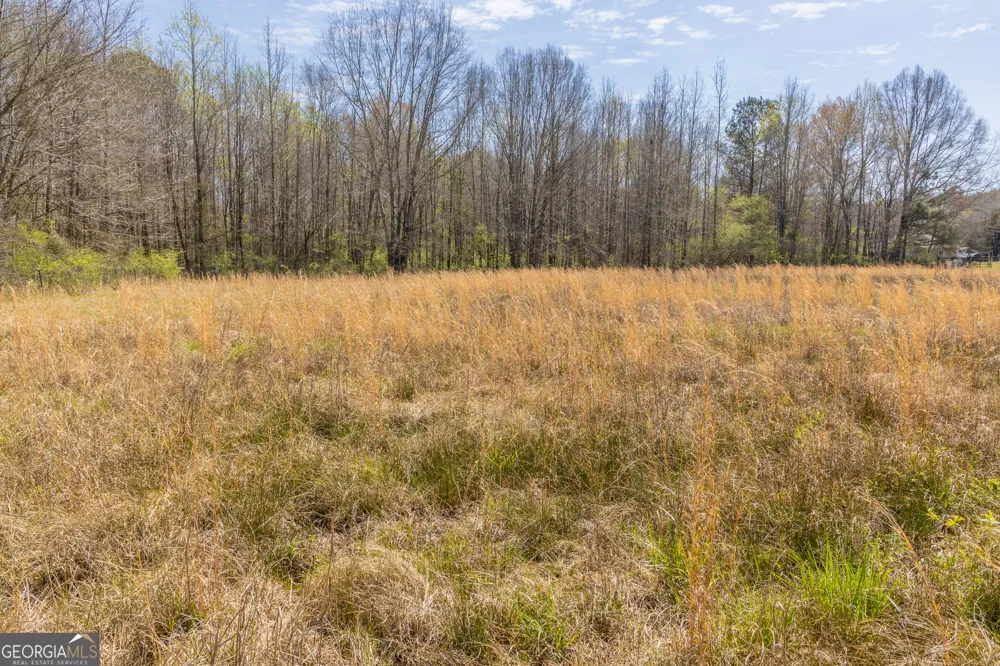 647 Pine Valley RD Meansville, GA 30256
