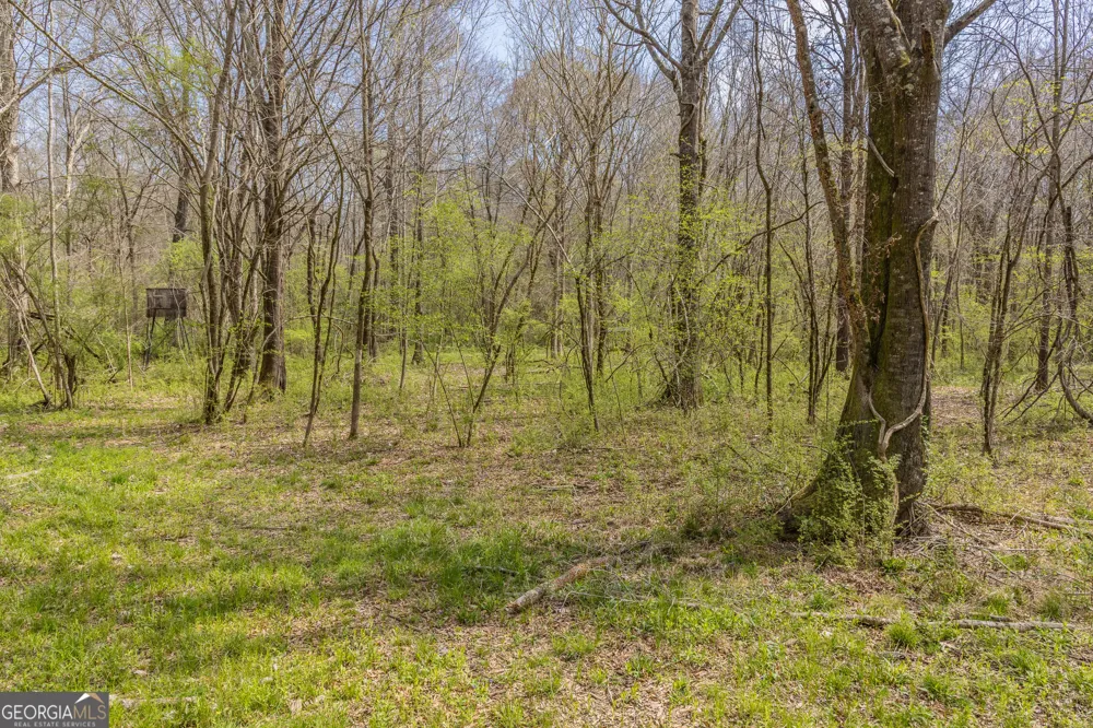 647 Pine Valley RD Meansville, GA 30256