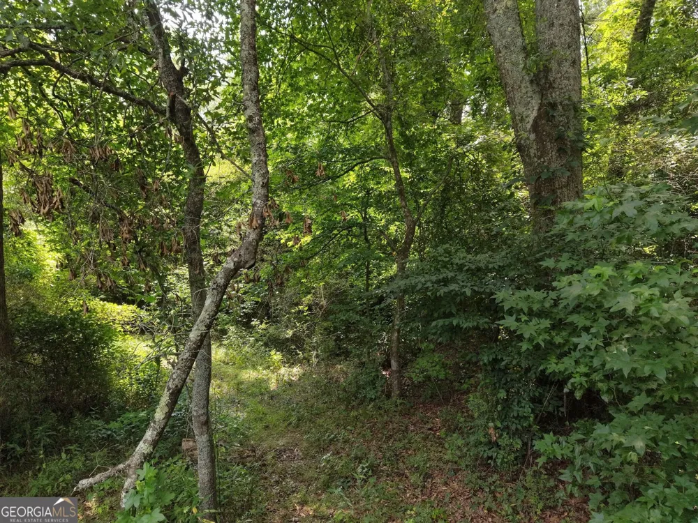 390 Edwards RD Oxford, GA 30054