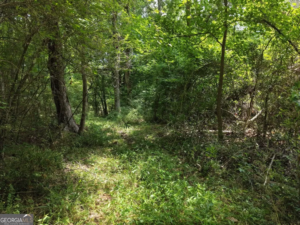 390 Edwards RD Oxford, GA 30054