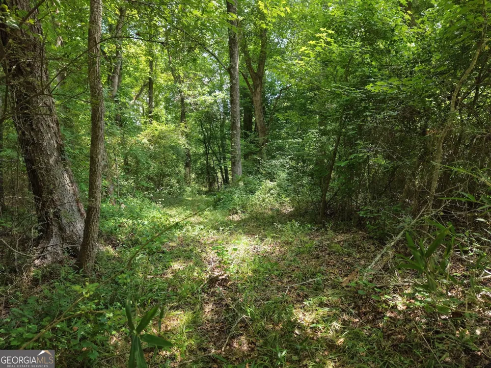390 Edwards RD Oxford, GA 30054