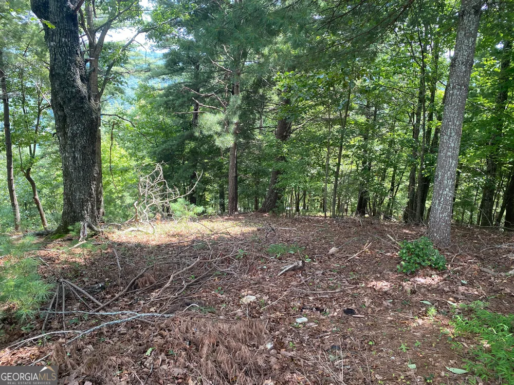 LOT 29 Lake Rabun Bluffs DR Lakemont, GA 30552