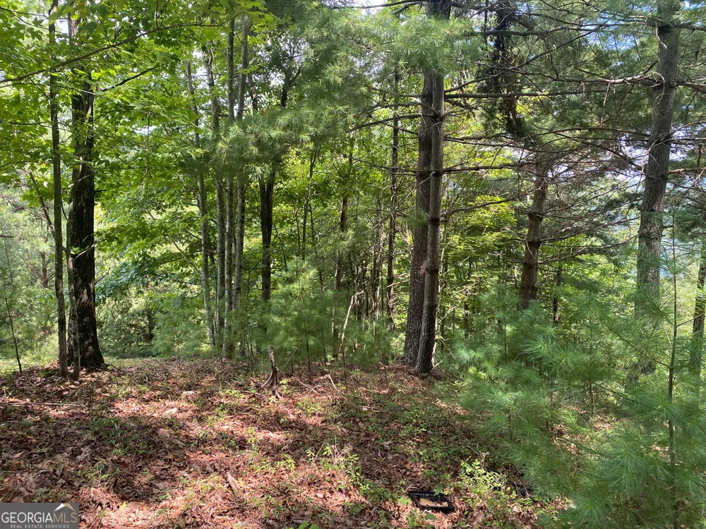 LOT 29 Lake Rabun Bluffs DR Lakemont, GA 30552
