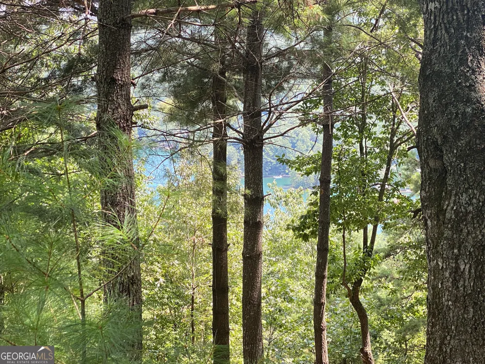 LOT 29 Lake Rabun Bluffs DR Lakemont, GA 30552