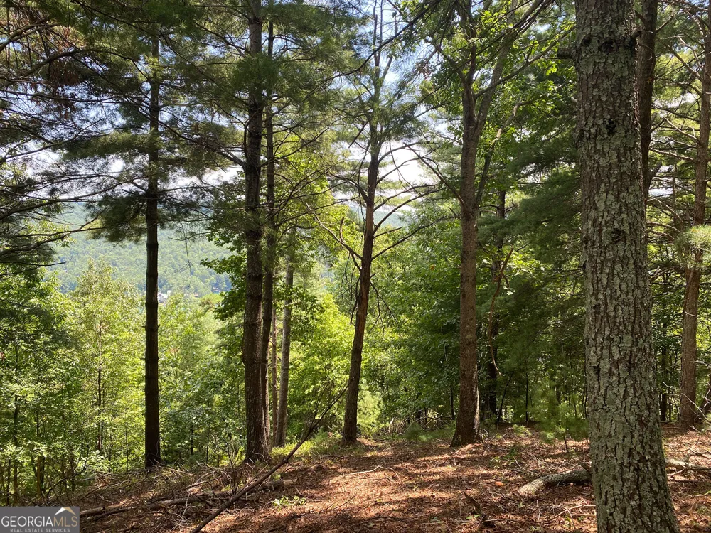 LOT 29 Lake Rabun Bluffs DR Lakemont, GA 30552