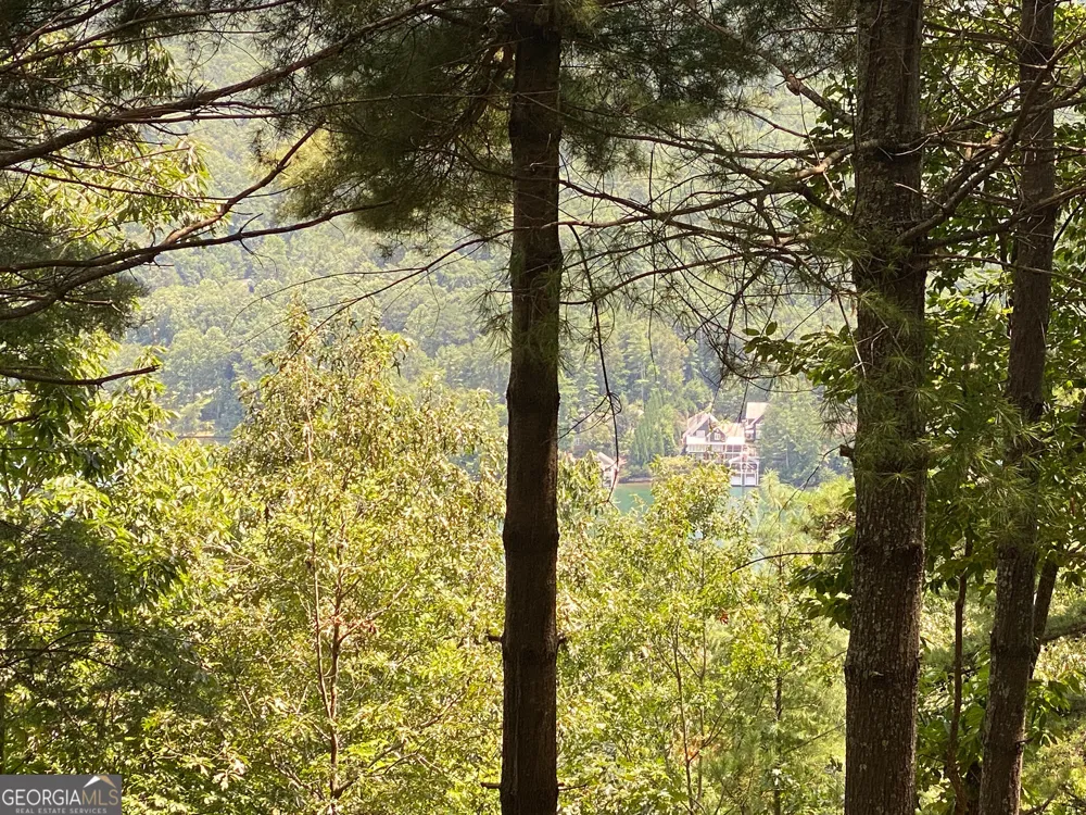 LOT 29 Lake Rabun Bluffs DR Lakemont, GA 30552