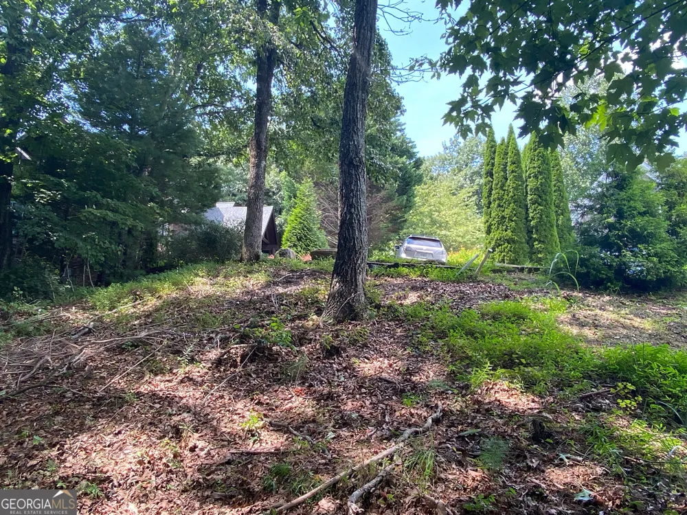 LOT 29 Lake Rabun Bluffs DR Lakemont, GA 30552