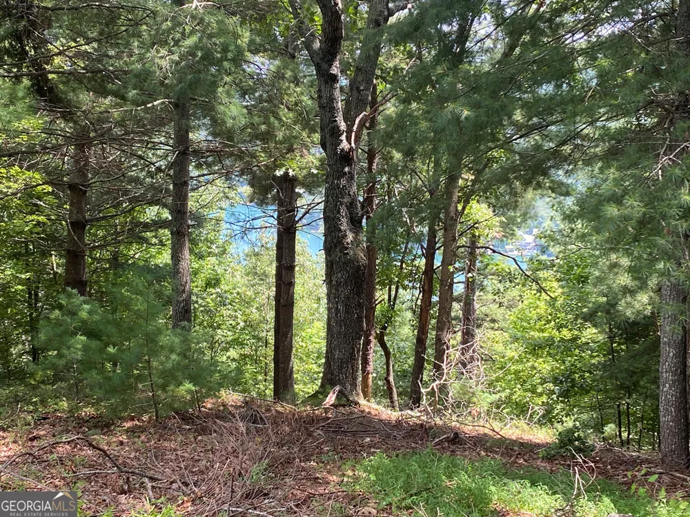 LOT 29 Lake Rabun Bluffs DR Lakemont, GA 30552