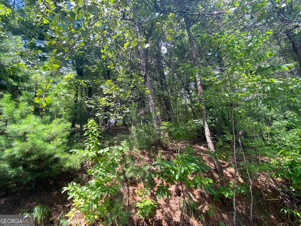 LOT 29 Lake Rabun Bluffs DR Lakemont, GA 30552