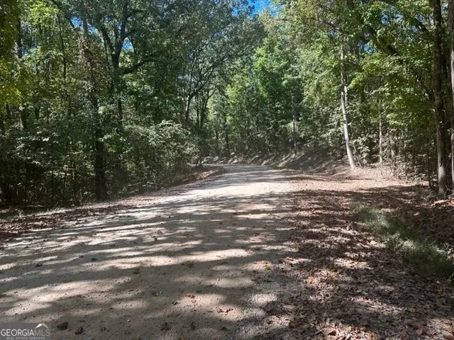 LOT Lake View DR Lavonia, GA 30553