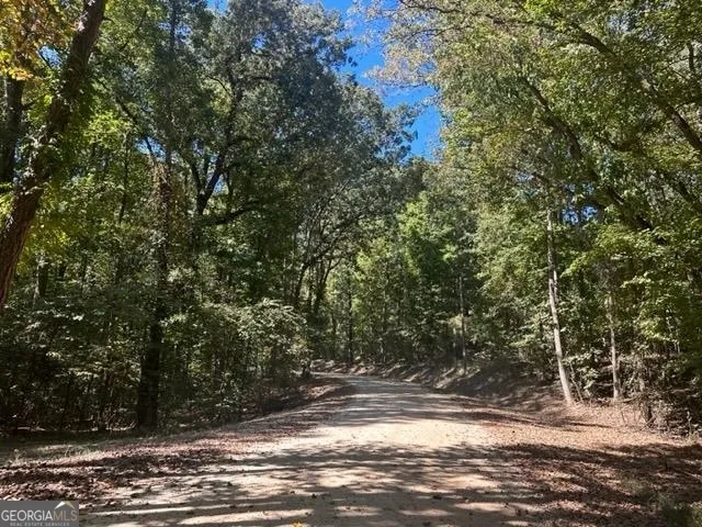 LOT Lake View DR Lavonia, GA 30553