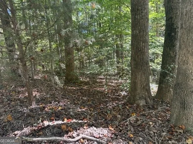 LOT Lake View DR Lavonia, GA 30553