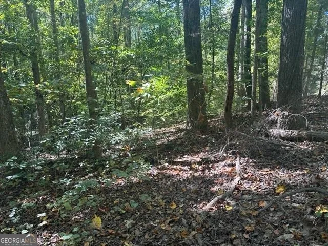 LOT Lake View DR Lavonia, GA 30553