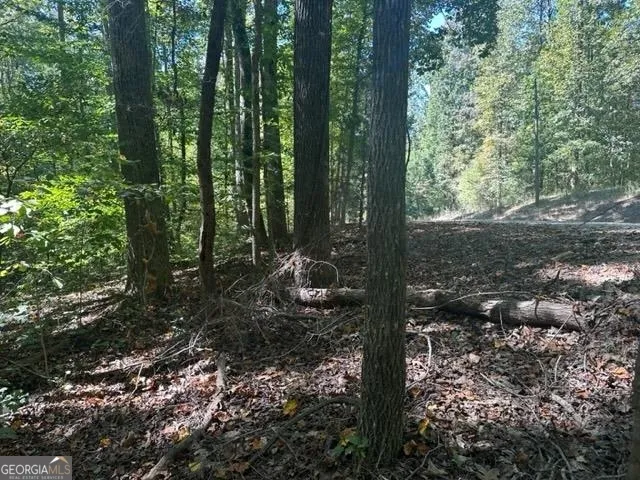LOT Lake View DR Lavonia, GA 30553