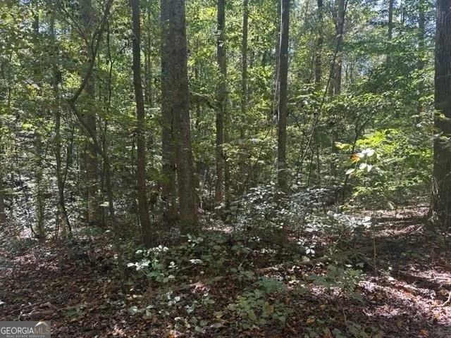 LOT Lake View DR Lavonia, GA 30553