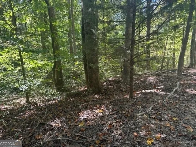LOT Lake View DR Lavonia, GA 30553