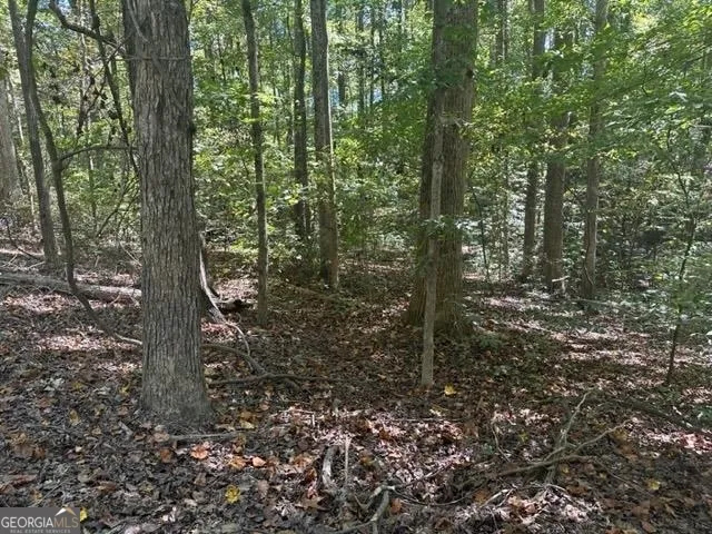 LOT Lake View DR Lavonia, GA 30553