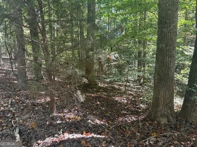 LOT Lake View DR Lavonia, GA 30553