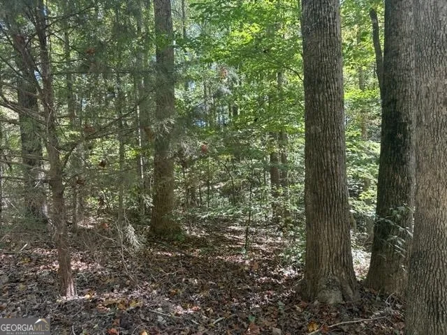 LOT Lake View DR Lavonia, GA 30553