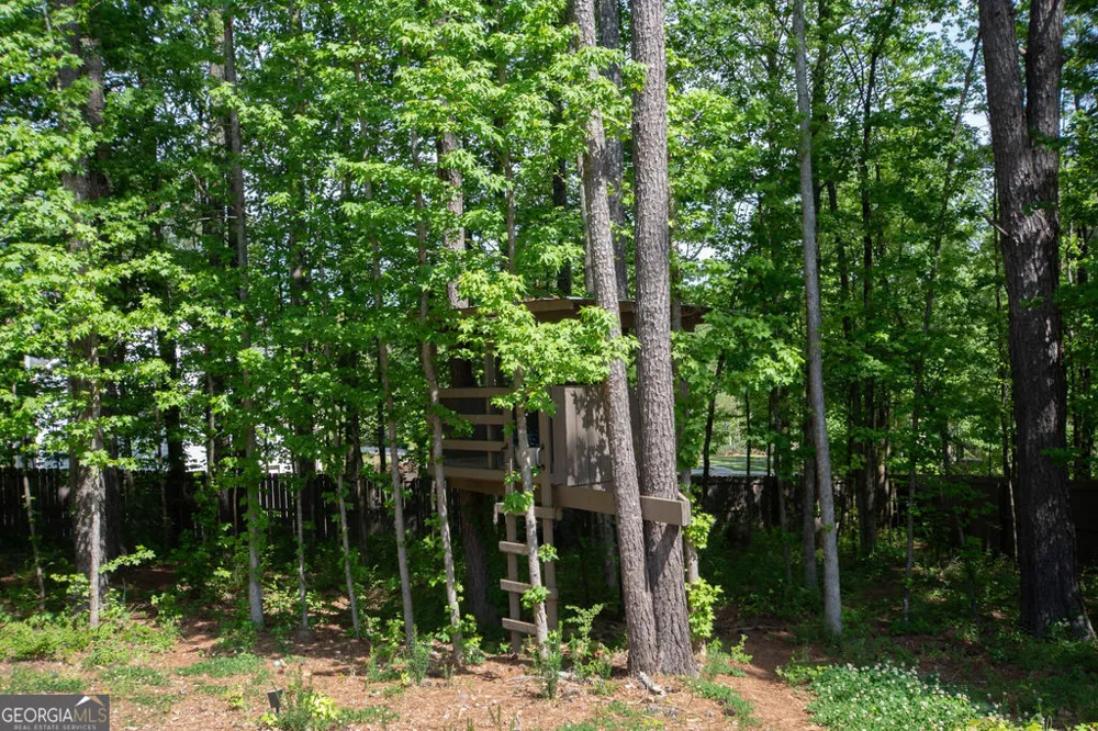 110 Beresford RD Tyrone, GA 30290