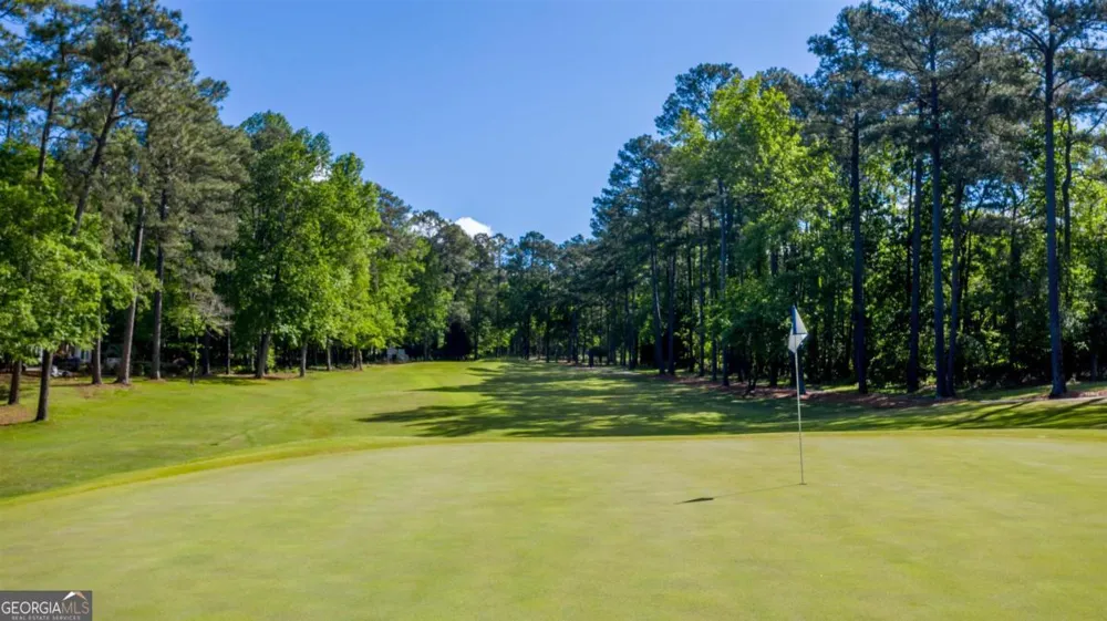 1231 Carriage Ridge DR Greensboro, GA 30642