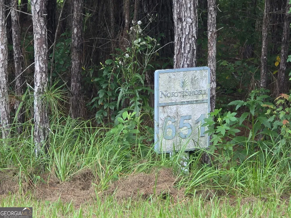 139 Breakwater LOOP Kingsland, GA 31548
