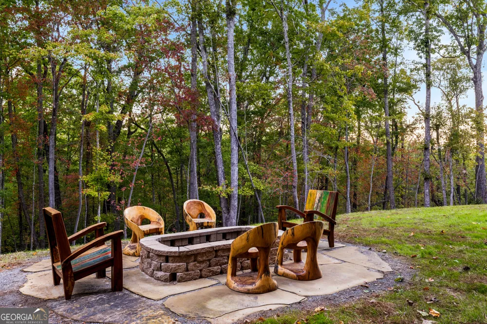 103 Dry Branch RD Blue Ridge, GA 30513