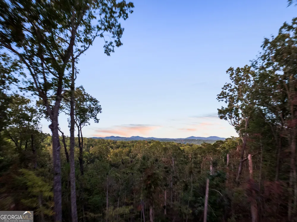 103 Dry Branch RD Blue Ridge, GA 30513