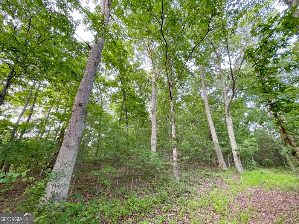 0 Yarborough RD Summerville, GA 30747