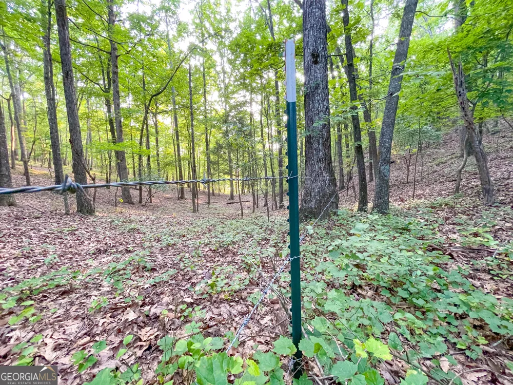 0 Yarborough RD Summerville, GA 30747