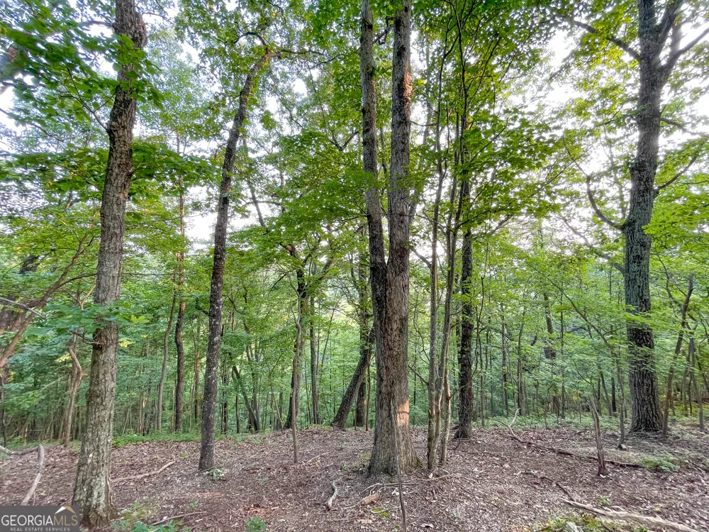 0 Yarborough RD Summerville, GA 30747