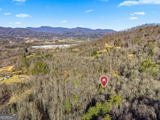 355 Henslee Hollow LN Rabun Gap, GA 30568