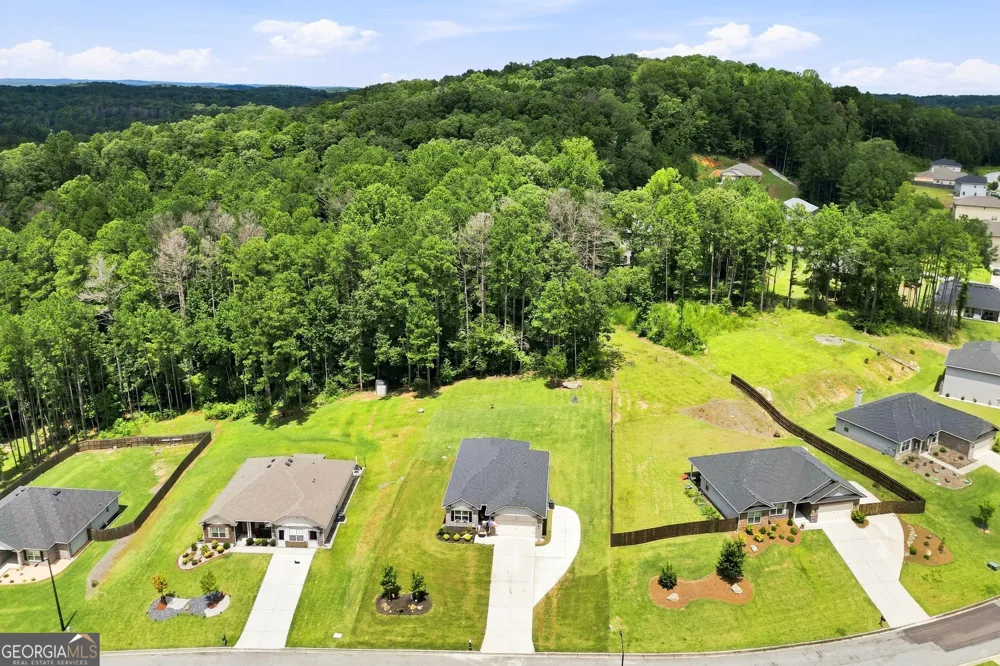 173 Bramlett Ridge DR Dallas, GA 30157