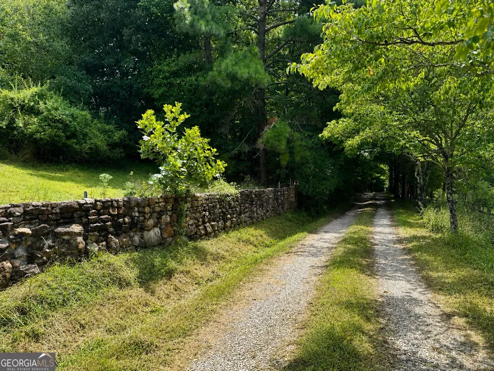 4782 Squirrel Hunting RD Morganton, GA 30560