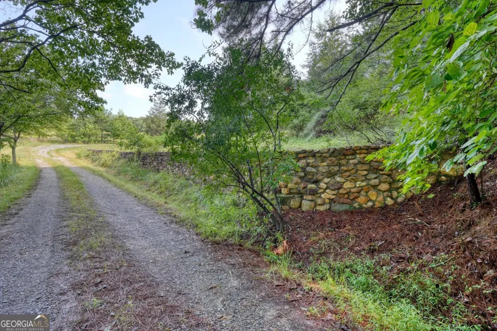 4782 Squirrel Hunting RD Morganton, GA 30560