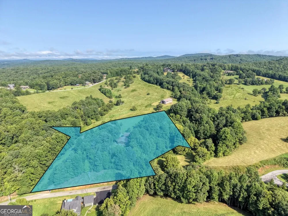 4782 Squirrel Hunting RD Morganton, GA 30560