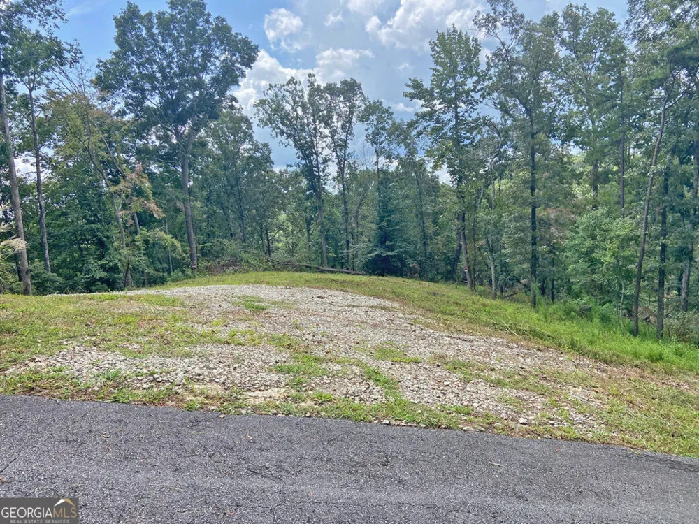 3.3AC Trillium TRL Dahlonega, GA 30533