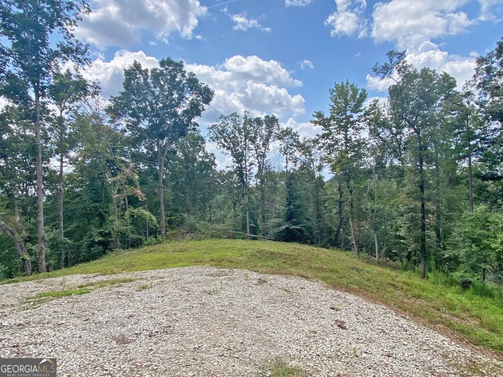 3.3AC Trillium TRL Dahlonega, GA 30533