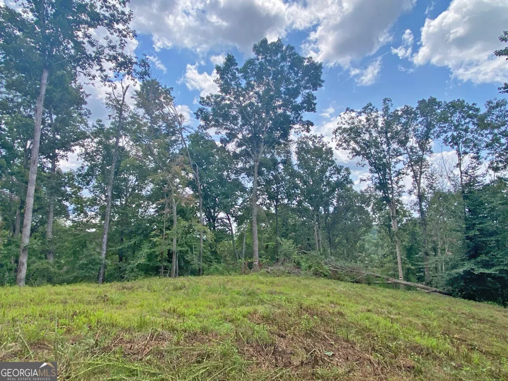 3.3AC Trillium TRL Dahlonega, GA 30533