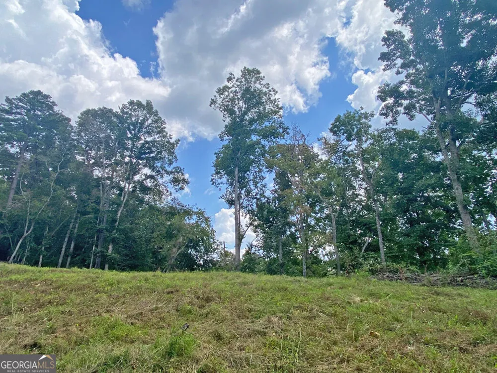 3.3AC Trillium TRL Dahlonega, GA 30533