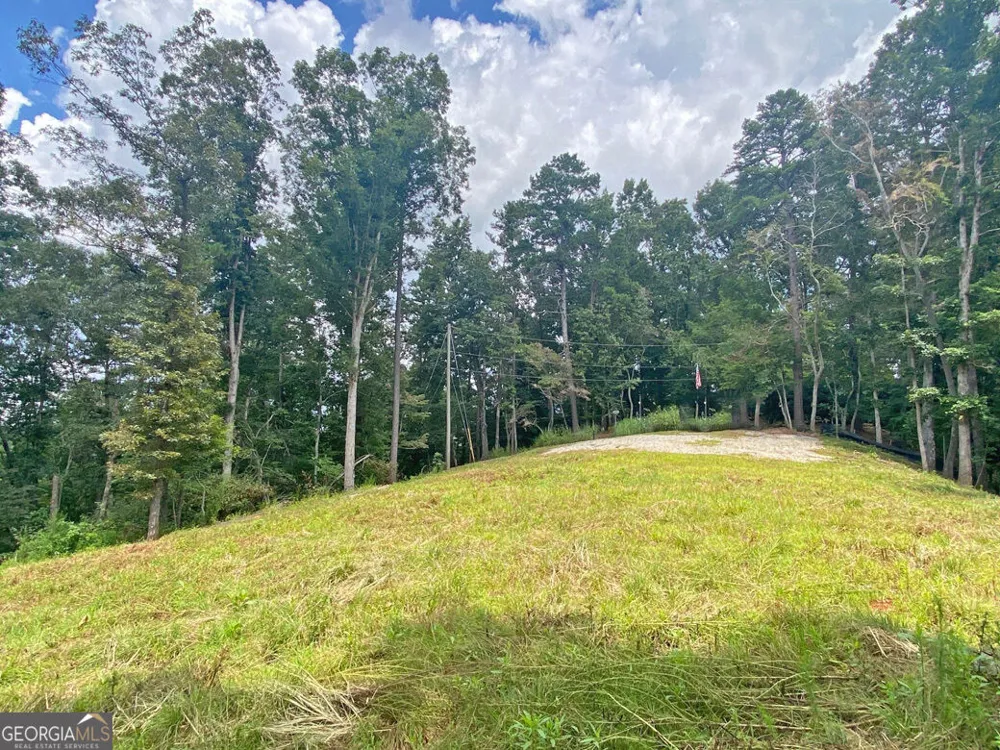 3.3AC Trillium TRL Dahlonega, GA 30533