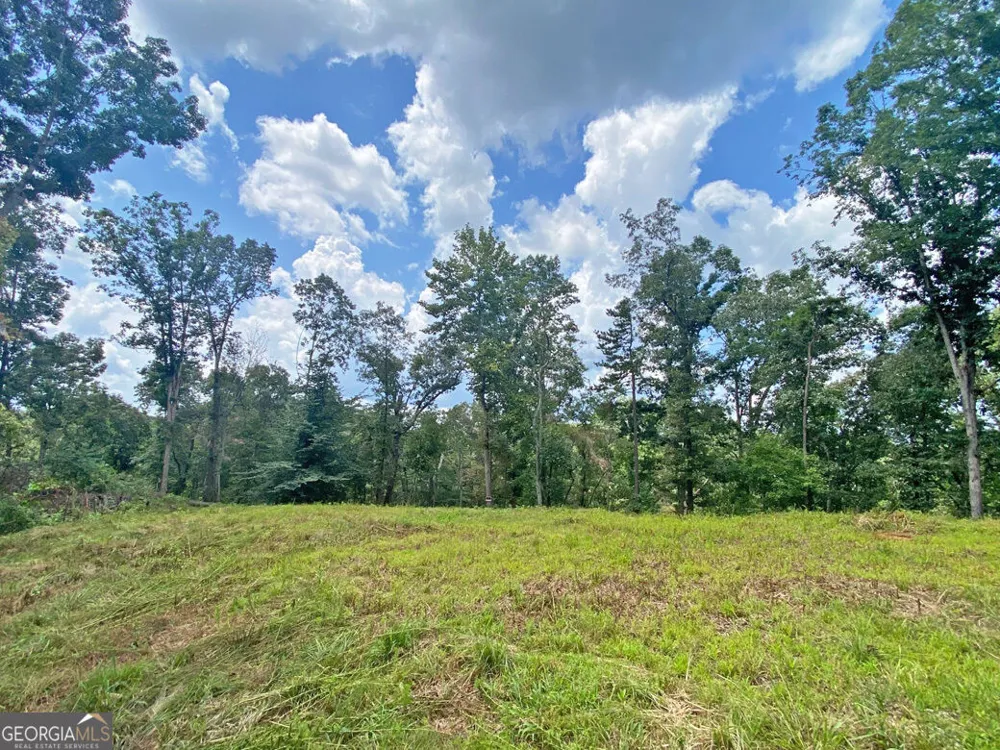 3.3AC Trillium TRL Dahlonega, GA 30533