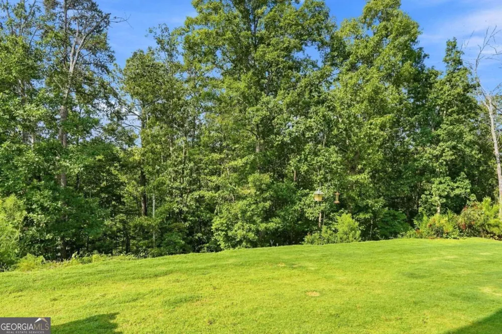 229 Lakeside PL Canton, GA 30114