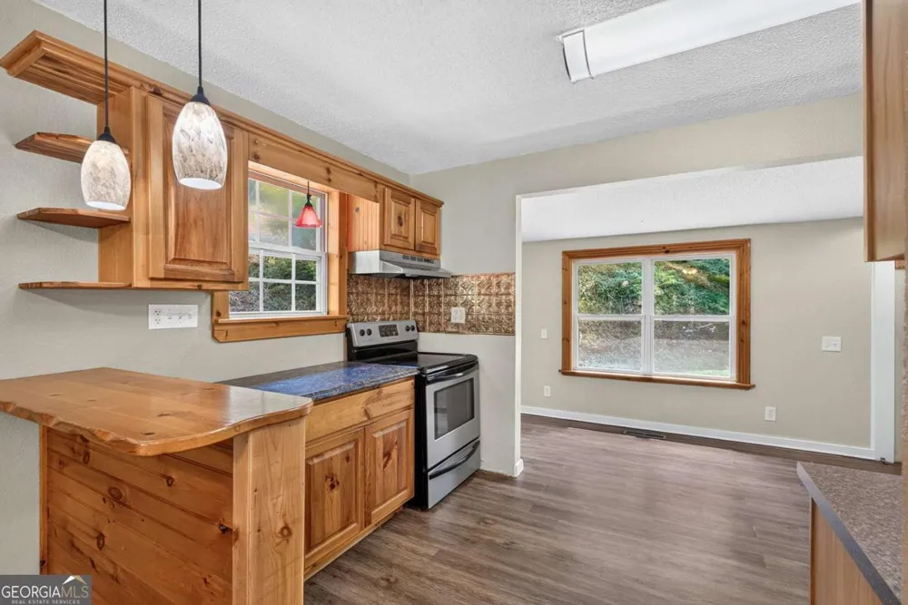 120 Old Hollow RD Blue Ridge, GA 30513